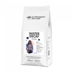 WATERDECAF_Aparna_250g-scaled